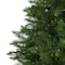 7.5ft. Pre-Lit Green Valley Fir Artificial Christmas Tree with Clear LED Lights